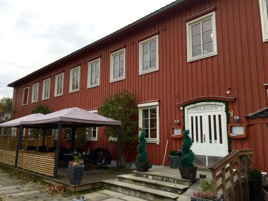Begeistring på Tregården i Trondheim